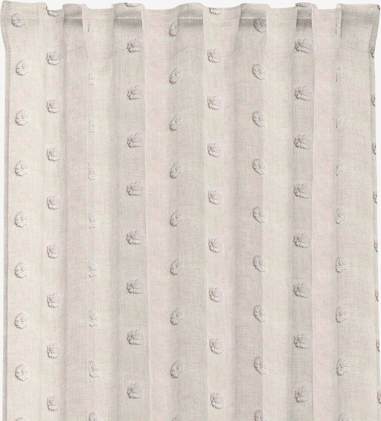 Iris multilengder, Beige