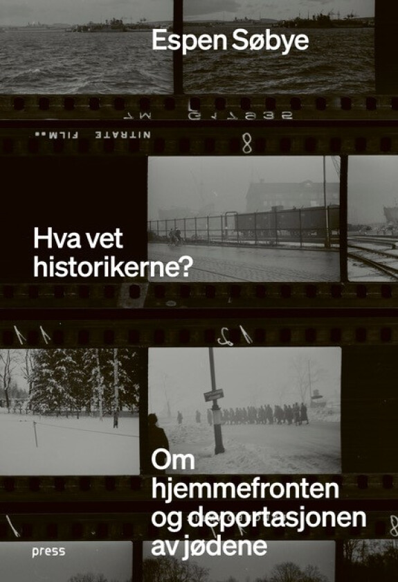 Hva vet historikerne? av Espen Søbye