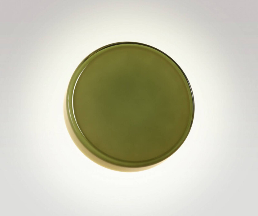 LED-vegglampe Caramel, grønn, Ø 22 cm, TRIAC, glass