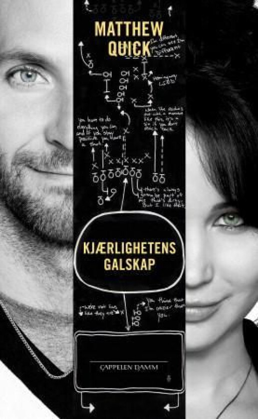 Kjærlighetens galskap av Matthew Quick