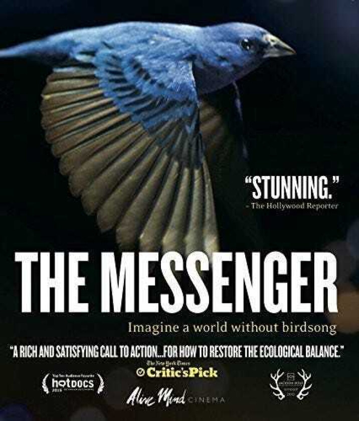 Messenger Bluray