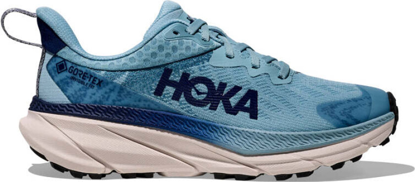 W CHALLENGER ATR 7 GTX Raindrop / Grout, EU 37 1/3