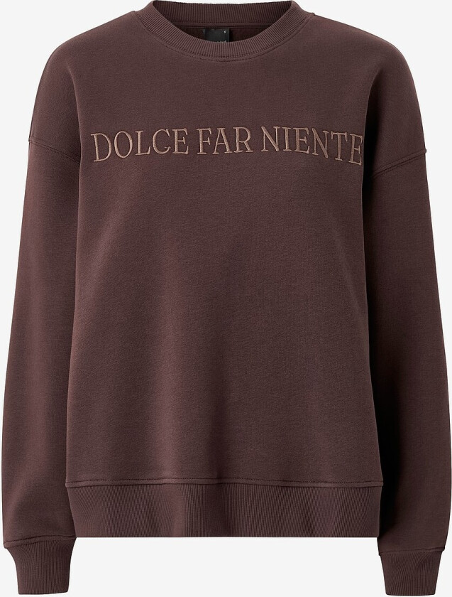 Collegegenser Sweater - Brun