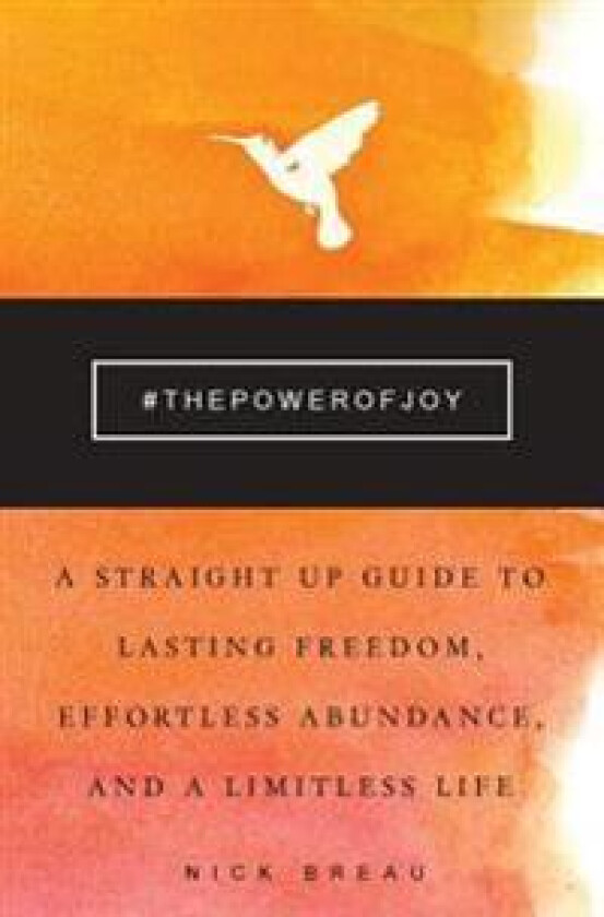 The Power of Joy: A Straight Up Guide to Lasting Freedom, Effortless Abundance, and a Limitless Life