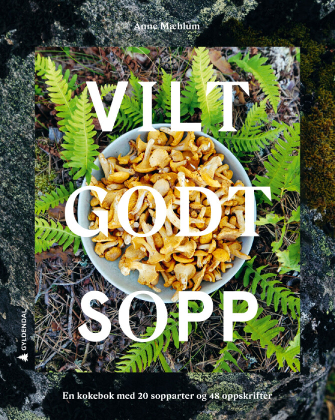 Vilt godt sopp av Anne Mæhlum