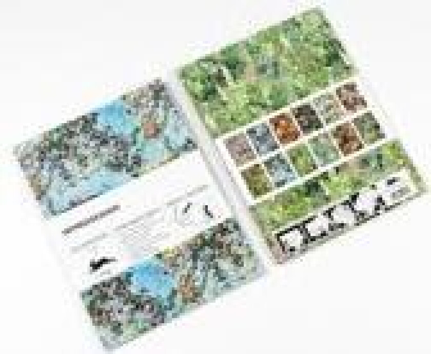 Impressionism Gift & Creative Paper Vol 111