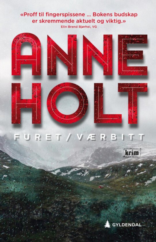 Furet/værbitt av Anne Holt