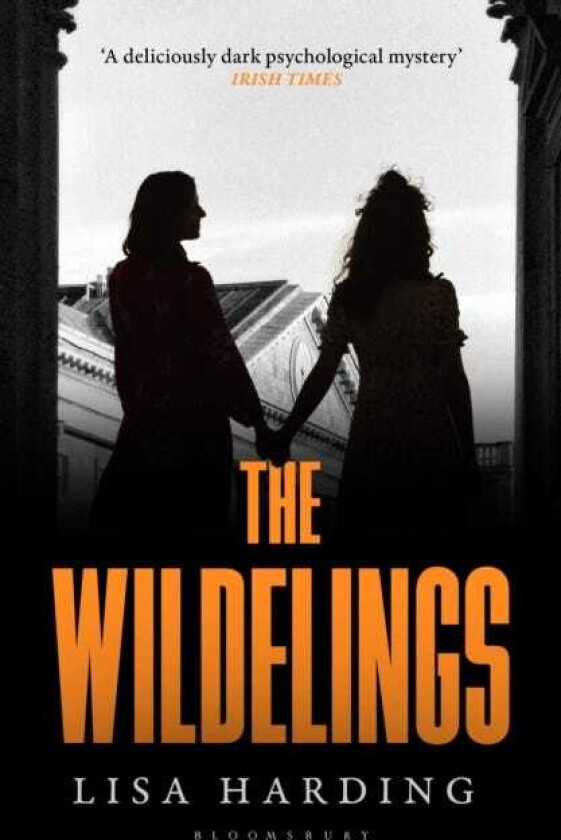 The Wildelings 'A deliciously dark psychological mystery' Irish Times