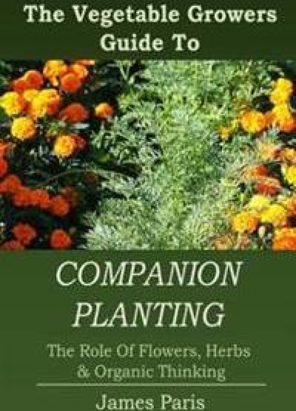 Companion Planting