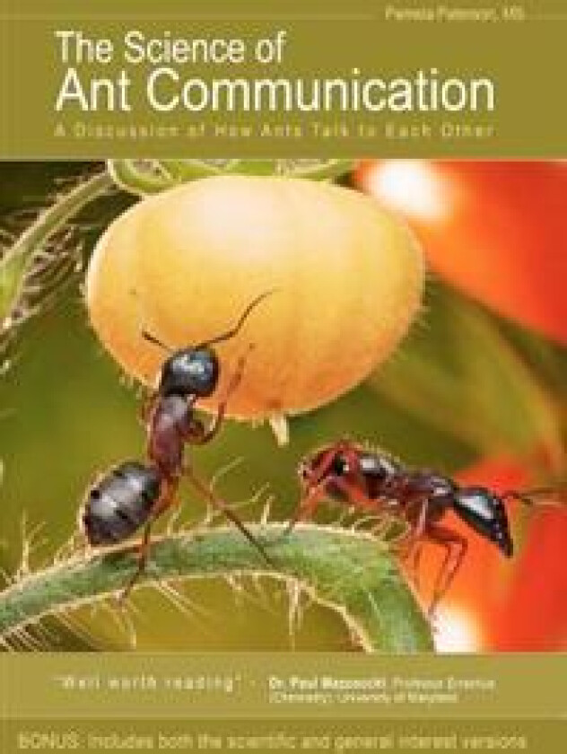 The Science of Ant Communication: A Discussion of How Ants Talk to Each Other