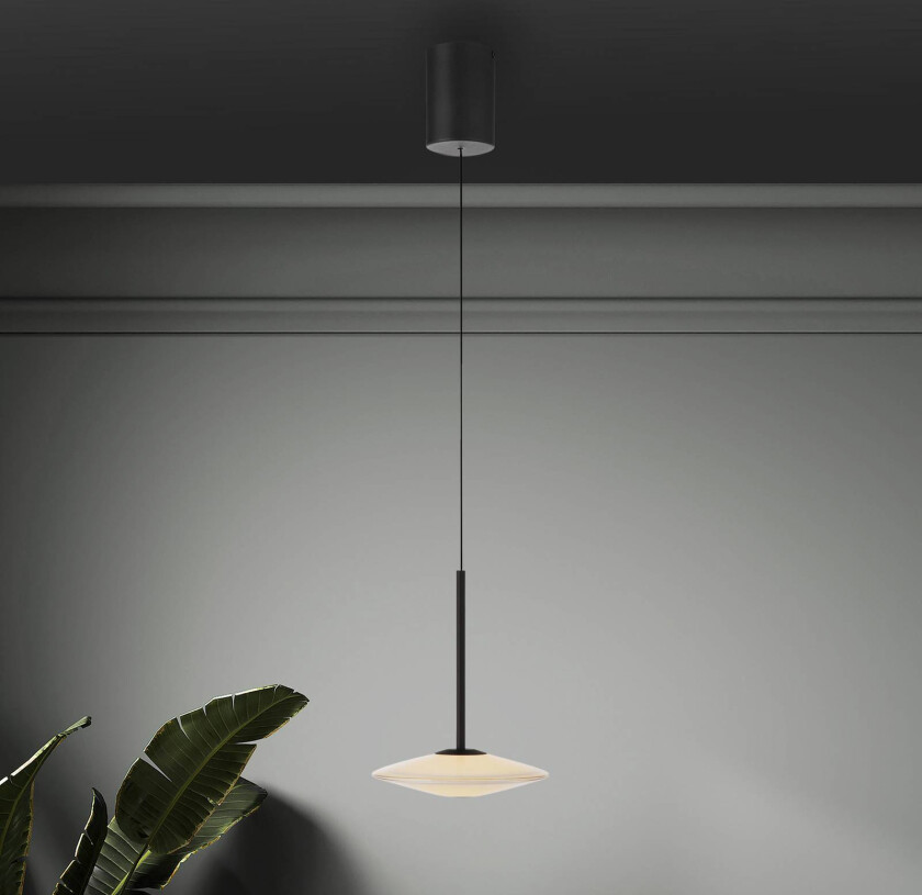 Paul Neuhaus LED-hengelampe Elipsa, 1 lyskilde, hvit/svart