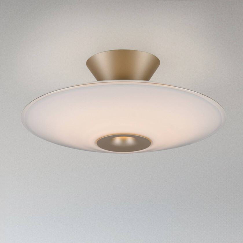 Paul Neuhaus LED-taklampe Elipsa, hvit/bronse, Ø 35 cm