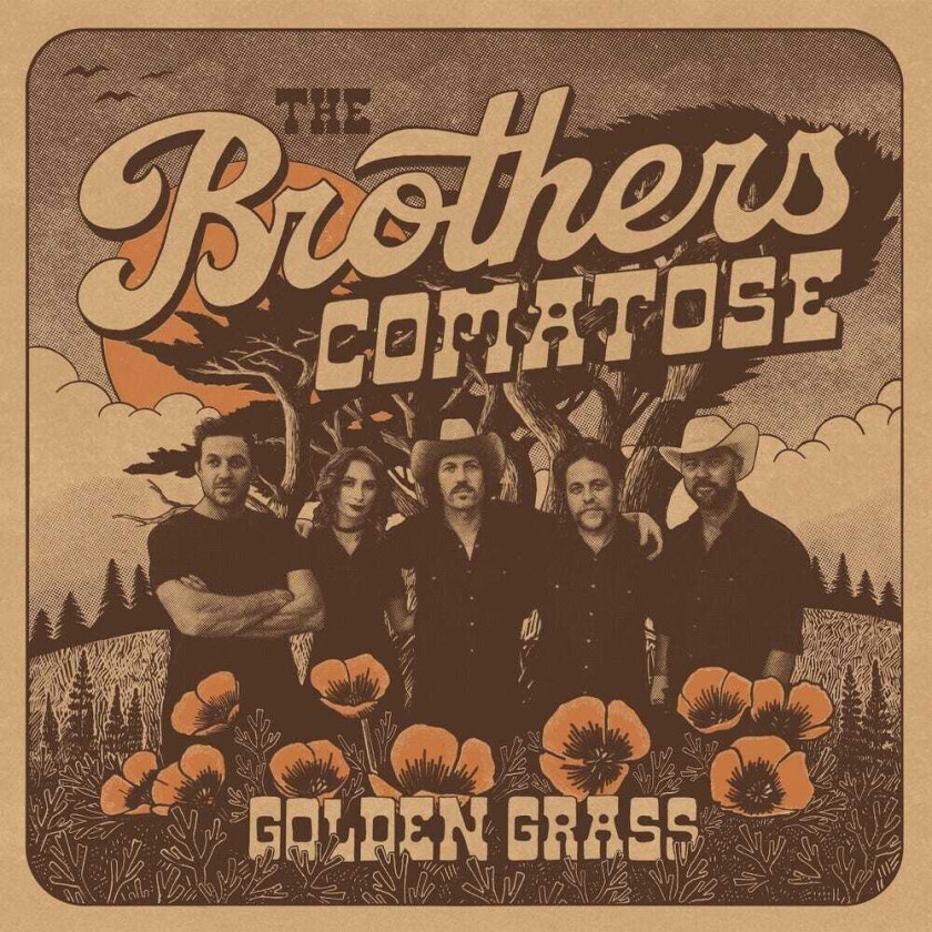 The Brothers Comatose Golden Grass Splattered Orange & Blue LP/Vinyl