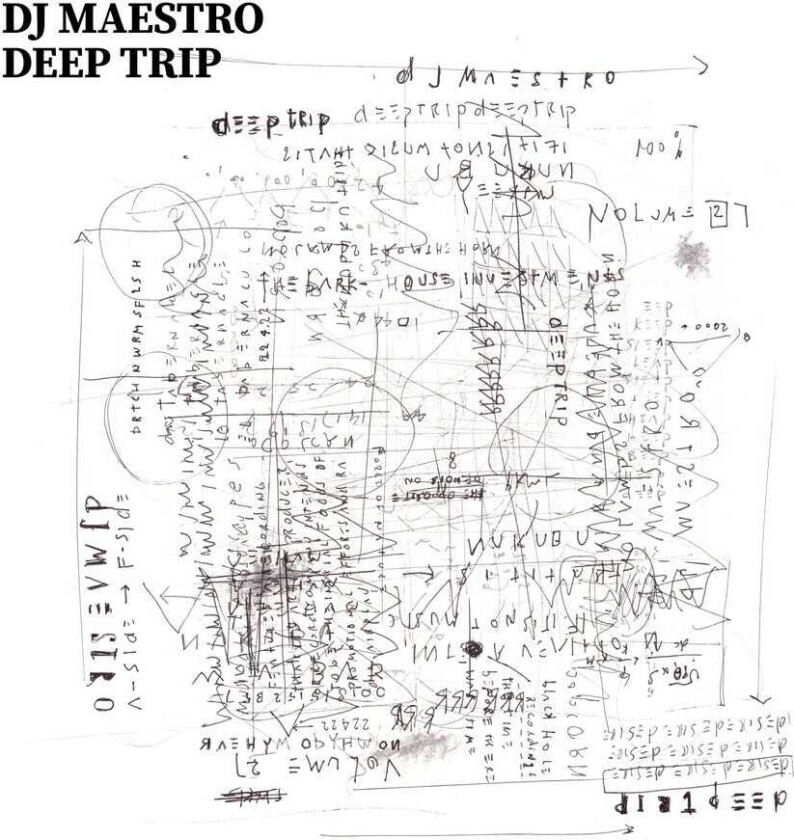 DJ Maestro Deep Trip CD