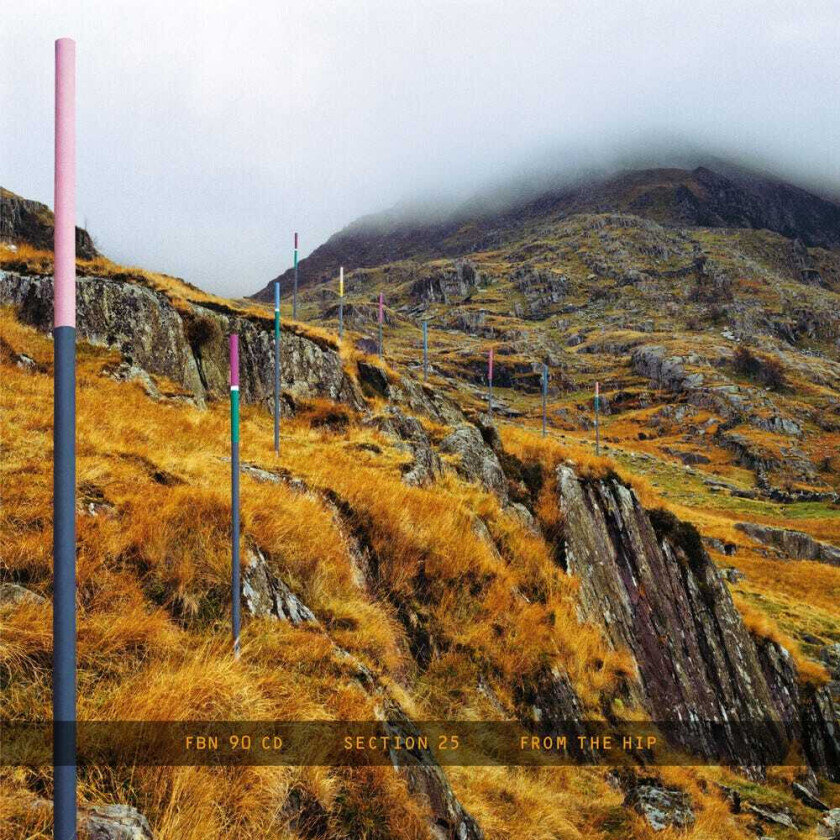 Bilde av Section 25 From The Hip CD