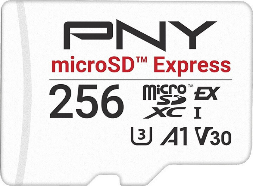 flash memory card - 256 GB - microSD PCI Express Gen 3x1 UHS-I