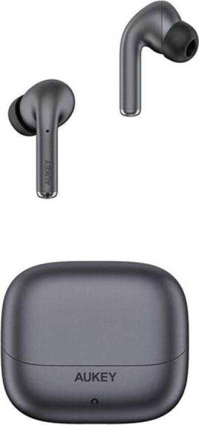 EP-B1 Beyond ANC PRO Wireless Earbuds - Grey