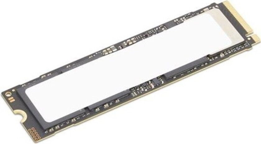 SSD - 512 GB - performance - PCI Express 5.0 x4 (NVMe) - CRU