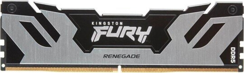 FURY Renegade - DDR5 - module - 24 GB - DIMM 288-pin / PC5-64000 - unbuffered