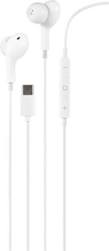 C220 - earphones with mic