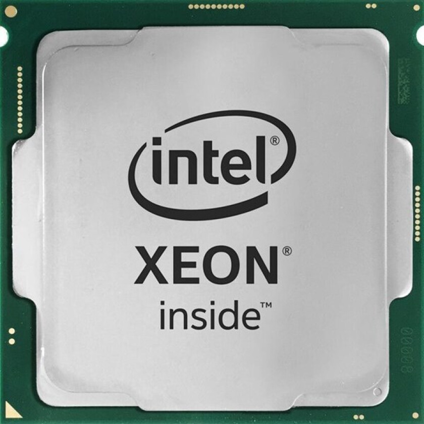 Xeon E-2488 / 3.2 GHz processor - OEM Prosessor/CPU - 8 kjerner - 3.2 GHz -  LGA1700 - Bulk (uten vifte)