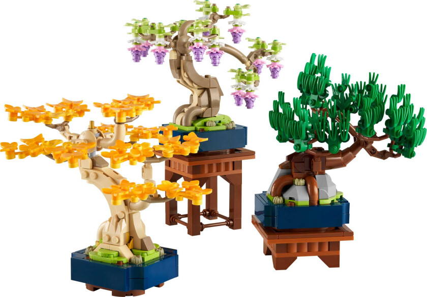 10373 Små bonsai-trær