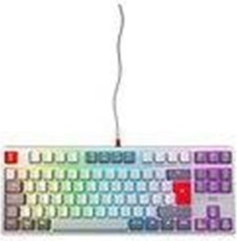 XTRFY K4V2 - Gamingtastatur - Tysk - Grå
