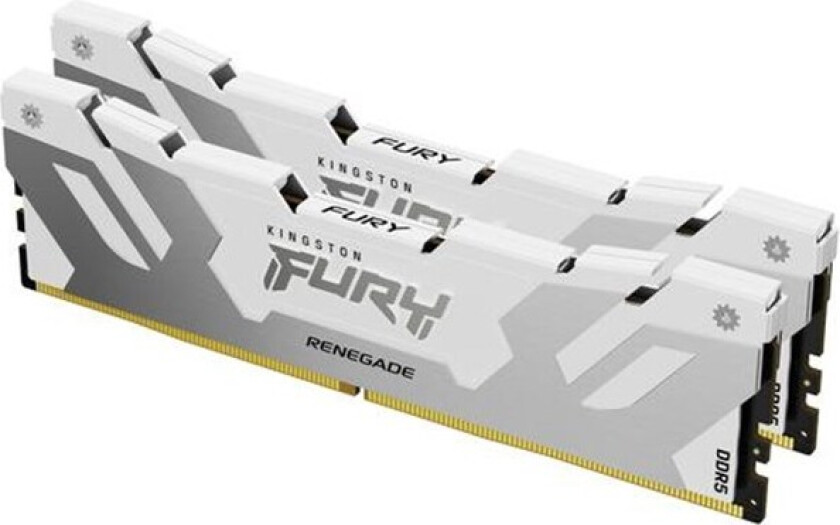 FURY Renegade - DDR5 - kit - 48 GB: 2 x 24 GB - DIMM 288-pin / PC5-64000 - CUDIMM