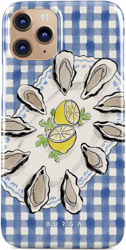 iPhone 11 Pro Tough Fashion Deksel - Today's Special