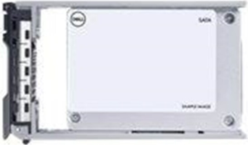 Express Flash - SSD - 1.6 TB - U.2 PCIe 4.0 (NVMe)
