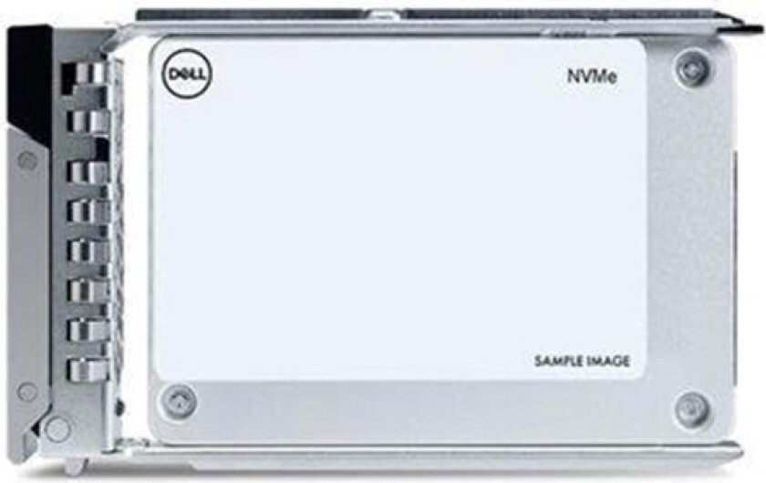 SSD - Data Centre Read Intensive - 960 GB - with carrier - U.2 PCIe 4.0 (NVMe)