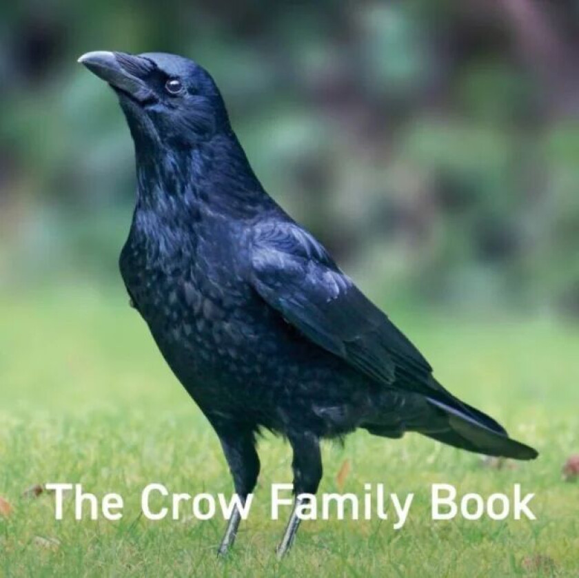 Crow Family Book, The av Jane Russ