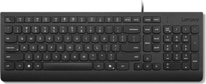 LENOVO Essential Wired Keyboard Black Swedish/Finnish 153 (SE/FI)