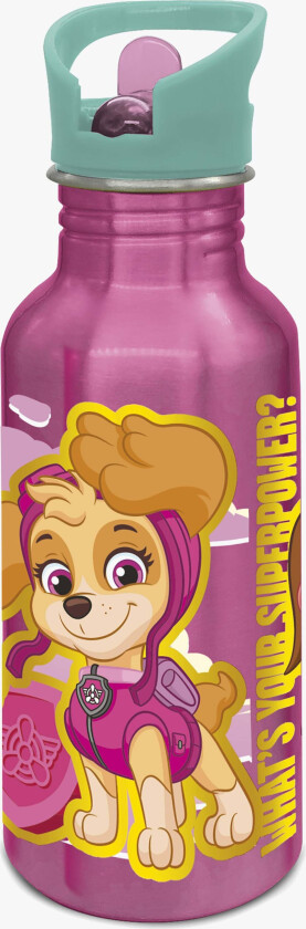 PAW GIRL ALU bottle sipper 545 ml