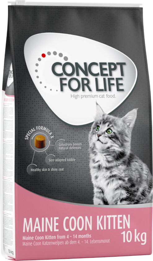 10 kg / 9 kg Concept for Life til spesialpris - Maine Coon Kitten 10 kg