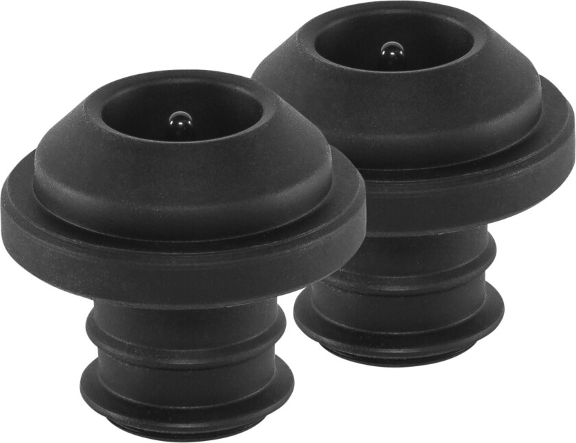 Preserve Pompe conservation double function