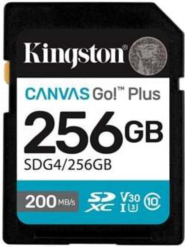 Canvas Go! Plus SDXC 256GB