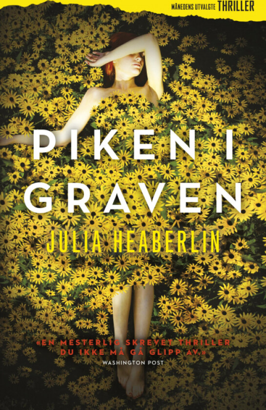 Piken i graven av Julia Heaberlin