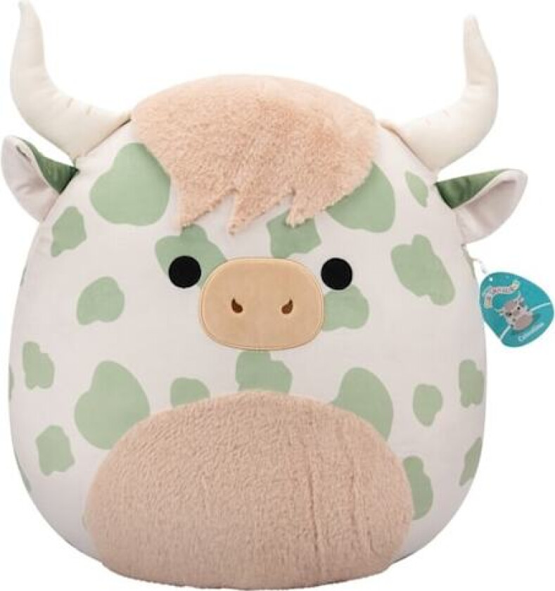 50 cm P23 Celestino Highland Cow