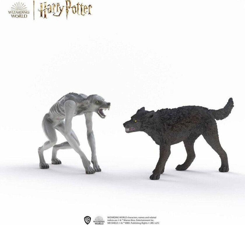 Werewolf vs. Animagus