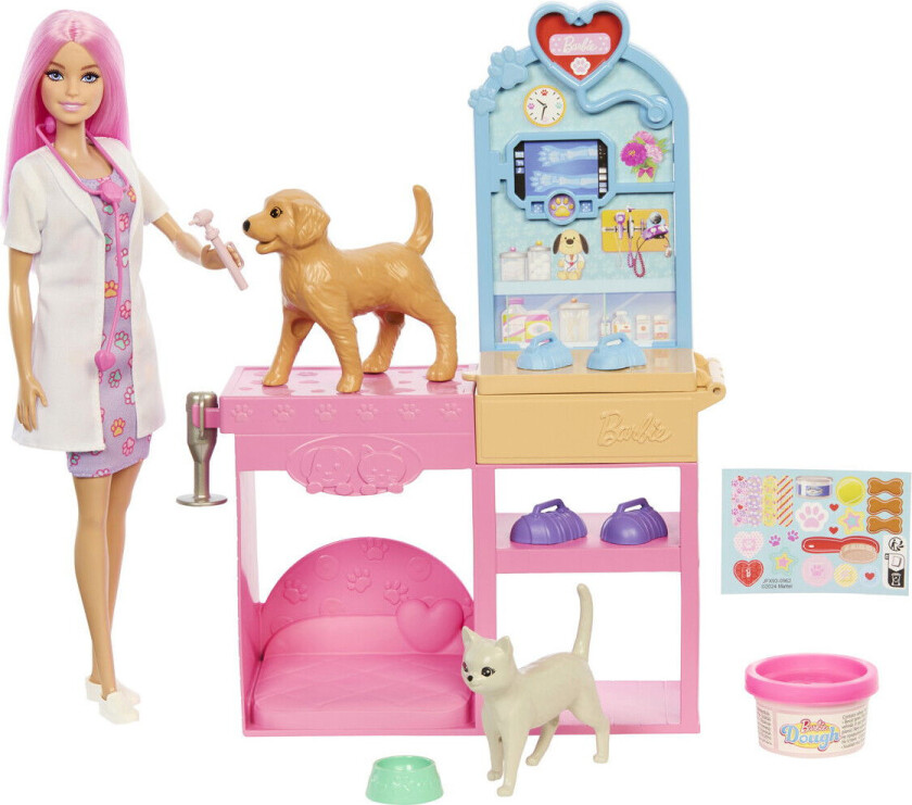 Rask Cast Dyrelegeklinikk