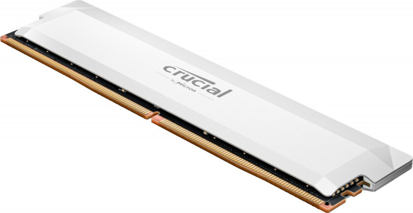 Pro OC - DDR5 - module - 32 GB - DIMM 288-pin - 3200 MHz / PC5-51200 - unbuffered
