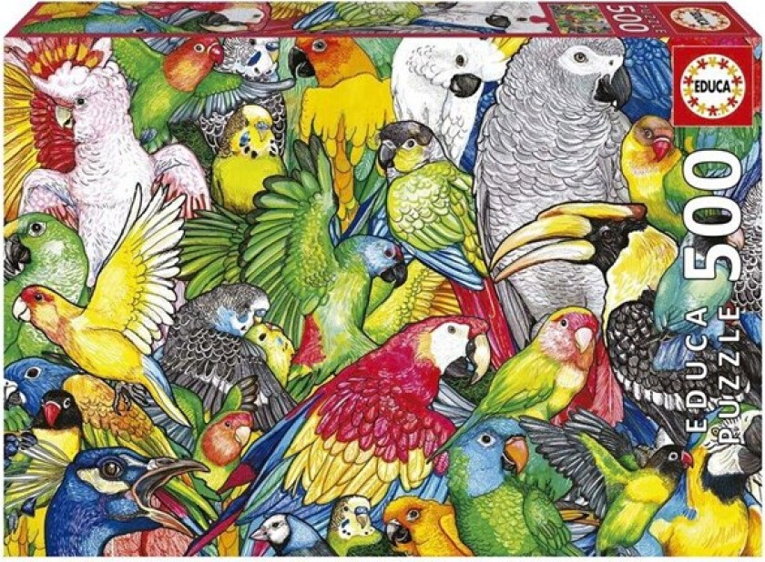 500 Parrots