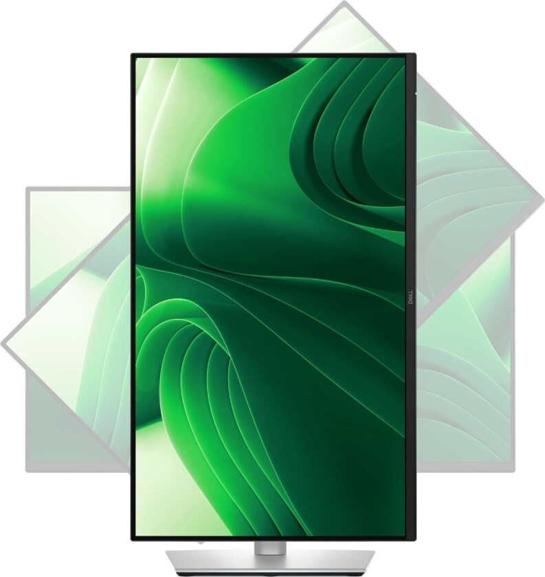 Pro Plus P2425DE - 2560x1440 (QHD) - 100Hz - IPS - 90W USB-C