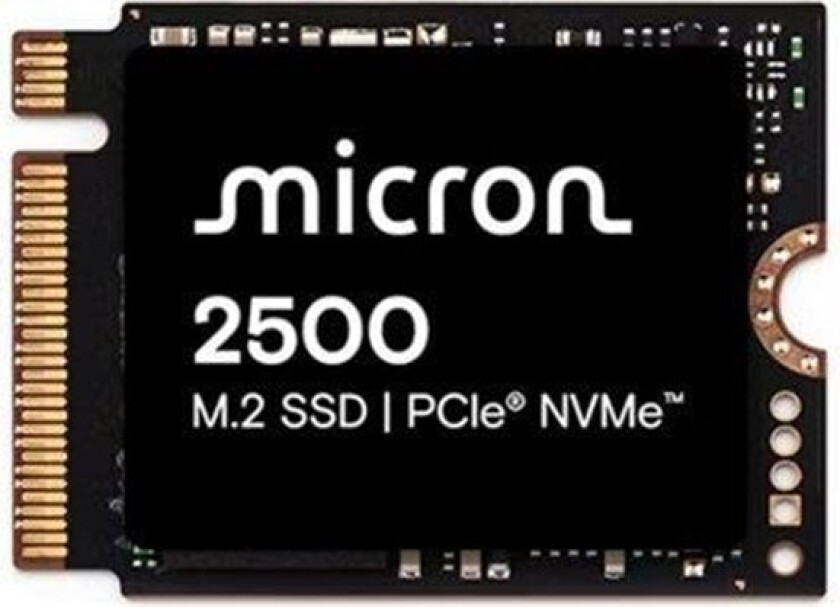 Micron 2500