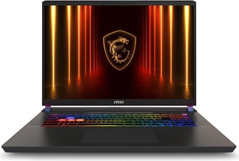 Vector 17 HX AI 17" QHD+ - Vector 17 HX AI A2XWHG-002NEU