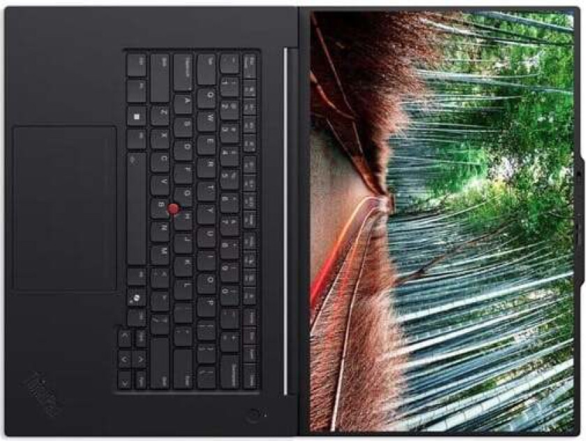 ThinkPad P1 Gen 8 - 16" - Intel Core Ultra 7 - 255H - Evo - 64 GB RAM - 1 TB SSD - Nordic (Danish/Finnish/Norwegian/Swedish)