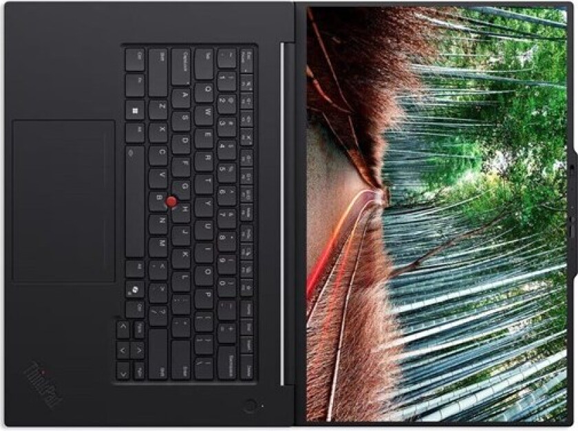 ThinkPad P1 Gen 8 - 16" - Intel Core Ultra 7 - 255H - Evo - 64 GB RAM - 1 TB SSD - Nordic (Danish/Finnish/Norwegian/Swedish)