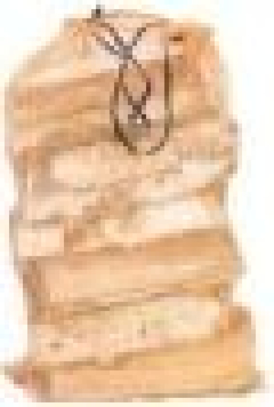 Firewood Birch 40L Bag