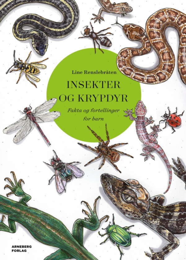 Insekter og krypdyr av Line Renslebråten